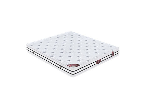 Thoải mái truyền bộ nhớ Nệm lò xo 14 inch Anti Mite Innerspring